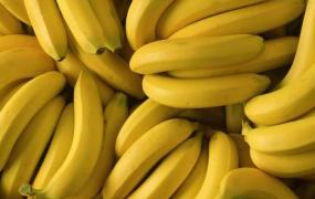 香蕉成分与营养价值(香蕉成分含量表)