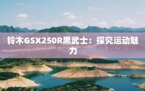 铃木GSX250R黑武士：探究运动魅力