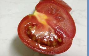 西红柿切掉发霉部分还能吃吗(吃了发霉的番茄怎么办)