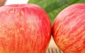 冷库苹果和新鲜苹果的区别(冷冻苹果和冷藏苹果的区别)