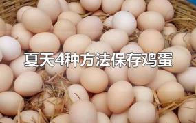 夏季怎样保存鸡蛋才能放的时间长(冬天如何保存鸡蛋)
