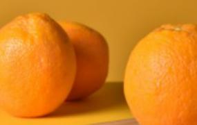 脐橙一般多少钱一斤(挑选脐橙的小窍门)