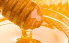 蜂蜜的用途有哪些(蜂蜜的用途和功效)