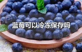 新鲜蓝莓可以冷冻保存吗(蓝莓可以冷冻保存吗?)