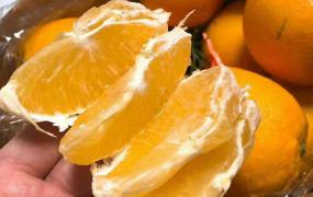 脐橙冬天保存方法