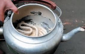如何清理茶叶水壶的水垢