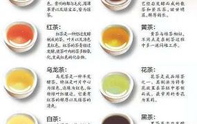 茶叶如何分类存放