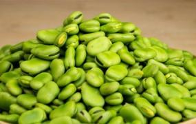 新鲜蚕豆仁长期保存方法