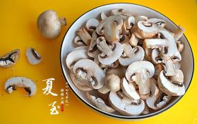新鲜蘑菇煮多久能熟