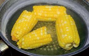 干玉米能放多久