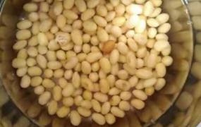 黄豆怎么算是煮熟了