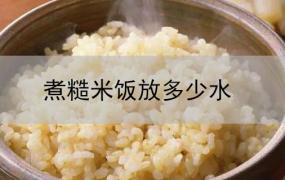 糙米怎么煮才能煮软