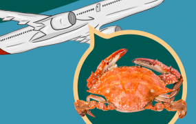 住飞机新鲜螃蟹能不能带