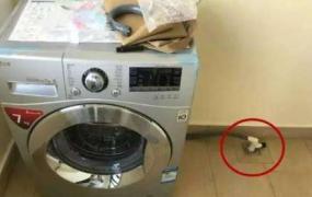 洗衣机漏水怎么办