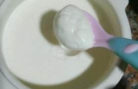 自制酸奶配方