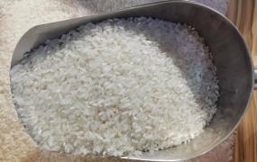 怎样挑选优质小米饭