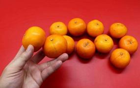 橘子挑选方法