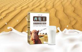 新鲜骆驼奶食用方法