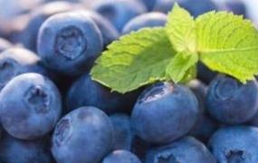 蓝莓怎么吃好吃又简单(吃蓝莓对身体有什么好处)
