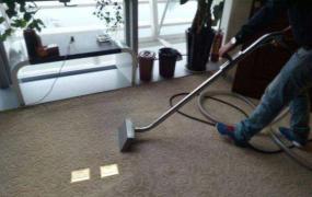 家庭地毯清洗方法