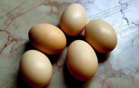 鸡蛋怎么做好吃不腥不油