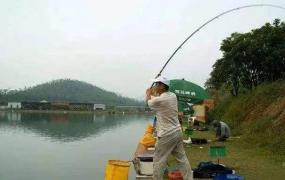 钓鱼怎样判断鱼口轻重