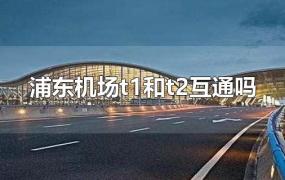 浦东机场t1和t2互通吗?(浦东机场t1和t2候机厅互通吗?)