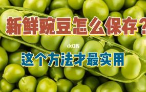 保存豌豆的三种方法