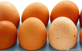 新鲜鸡蛋常温下保存方法