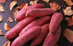 红薯冬季保存方法