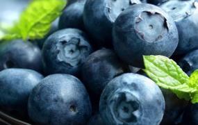 蓝莓可以自己种吗(蓝莓家里可以种吗)