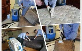 家里地毯怎么清洁消毒干净