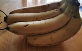 怎样保存长期香蕉不烂皮