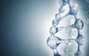 DNA分子结构是什么