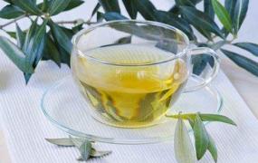绿茶叶可以泡茶喝吗吗