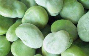 新鲜蚕豆长期保存方法