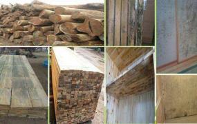 木头怎样防腐防虫处理