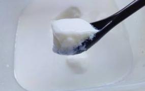 手工酸奶做法