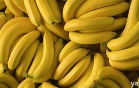 如何判断香蕉成熟