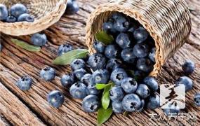 蓝莓能不能放冷藏保存