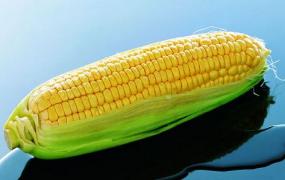 玉米有什么营养成分