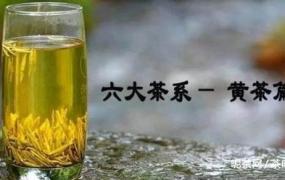 分享黄茶的冲泡方法