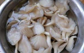 蘑菇的表面怎么清洗