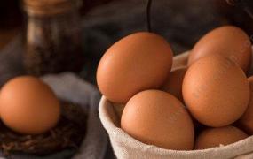 如何挑选优质鸡蛋