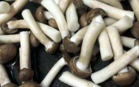 腌制蘑菇时间久能吃吗