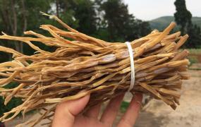 新鲜竹笋晒干的保存方法