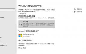 windows11加入预览体验的方法