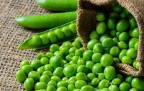 尿酸高能吃豆制品吗