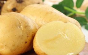 如何判断土豆的新鲜