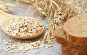燕麦保存方法及注意事项